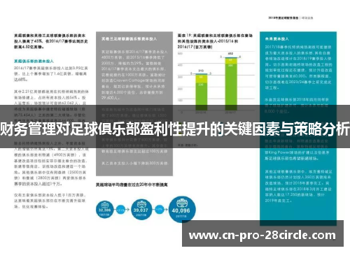 财务管理对足球俱乐部盈利性提升的关键因素与策略分析 财务管理对足球俱乐部盈利性提升的关键因素与策略分析