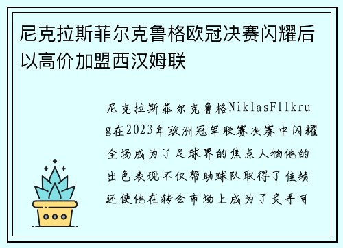 尼克拉斯菲尔克鲁格欧冠决赛闪耀后以高价加盟西汉姆联